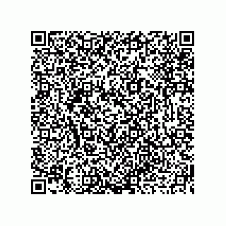 vCard 73919679382