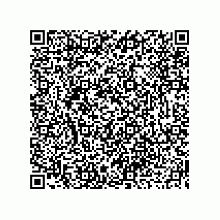 vCard 73919679385