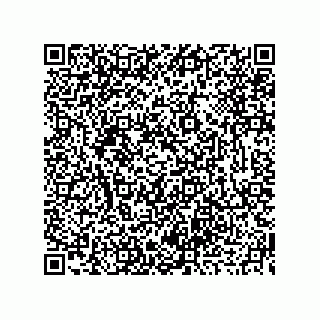 vCard 73919679386