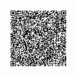 vCard 73919679388