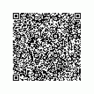 vCard 73919679393