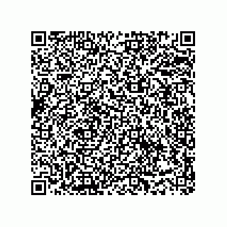 vCard 73919730002