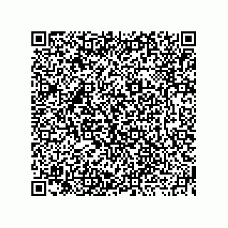 vCard 73919730080