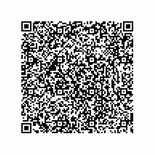 vCard 73919730378