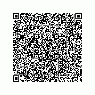 vCard 73919730900