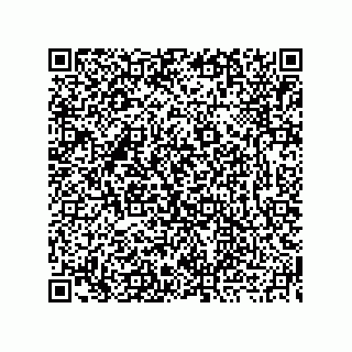 vCard 73919730906