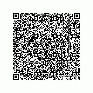 vCard 73919730929