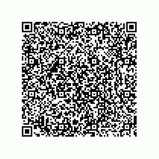 vCard 73919730947