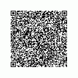 vCard 73919771100