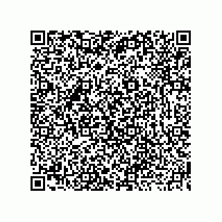 vCard 73919771112