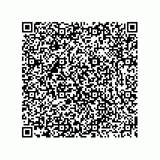 vCard 73919771115