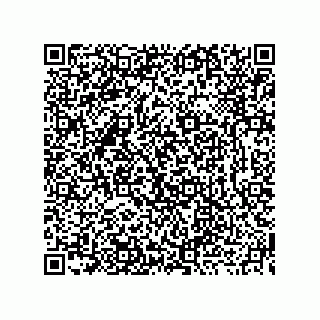 vCard 73919771120