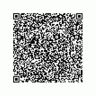 vCard 73919771125