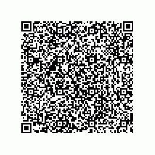 vCard 73919771254