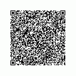 vCard 73919771299