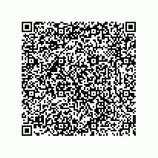 vCard 73919771300