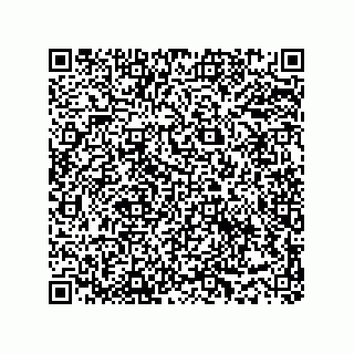 vCard 73919771351