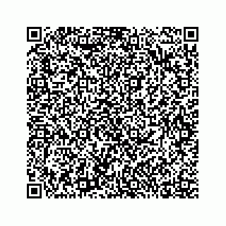 vCard 73919830249