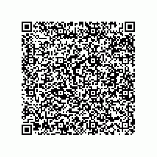 vCard 73919891115