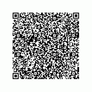 vCard 73919891335