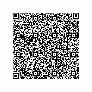 vCard 73919891370