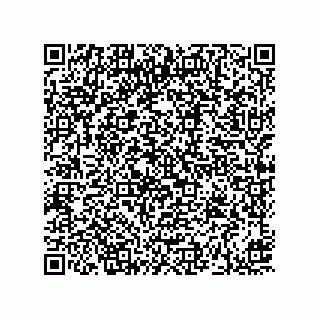 vCard 73919894033