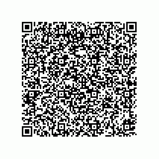vCard 73919894071