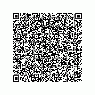 vCard 73919897522