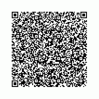 vCard 73919933206