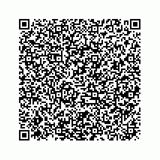vCard 73919933207