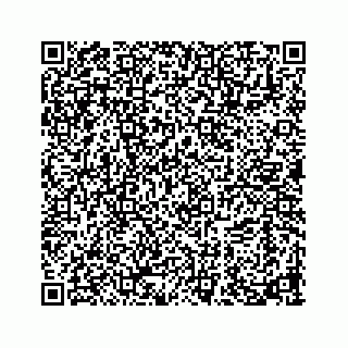 vCard 73919933219