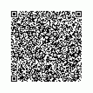 vCard 73919933229