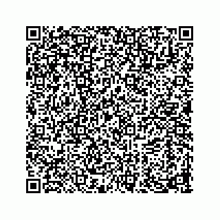 vCard 73919933234