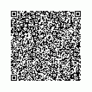 vCard 73919933241