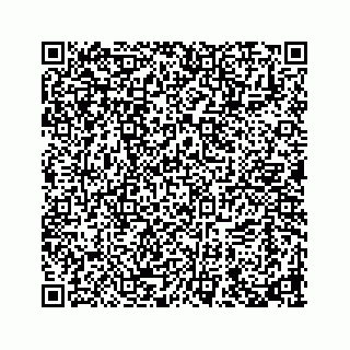 vCard 73919933252