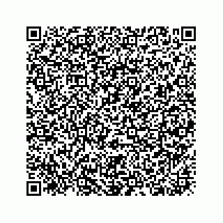 vCard 73919933271