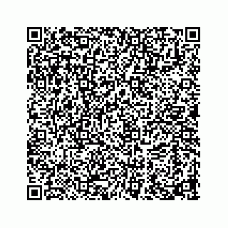 vCard 73919933278