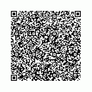 vCard 73919933290