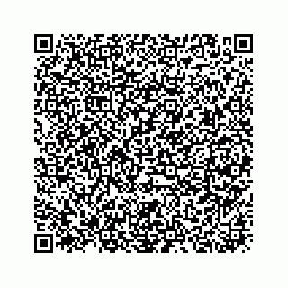 vCard 73919933291