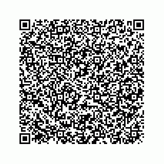 vCard 73919933333