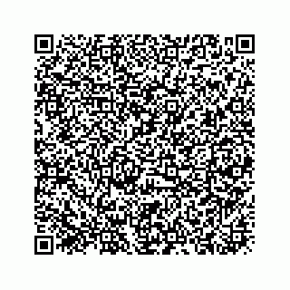 vCard 73919933353