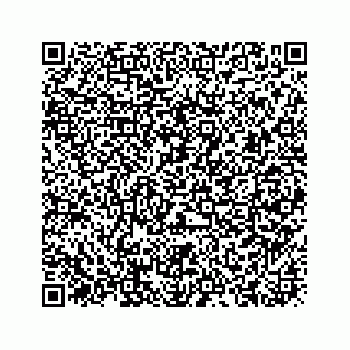 vCard 73919933355