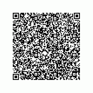 vCard 73942221111