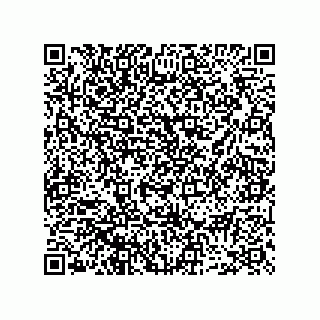 vCard 73952289275