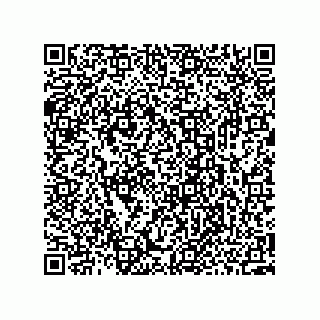 vCard 73952289384