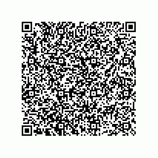 vCard 73952289387