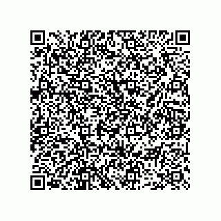 vCard 73952501331