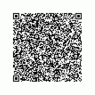 vCard 73952501379