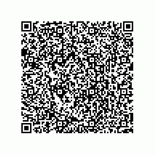 vCard 73952501381