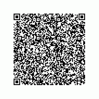 vCard 73952501519